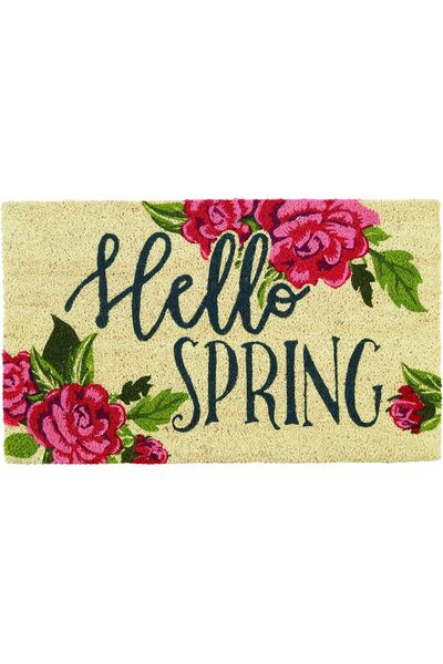 Generic DII Natural Coir Doormat, Decorative Hello Mat, 17x29, Aloe There