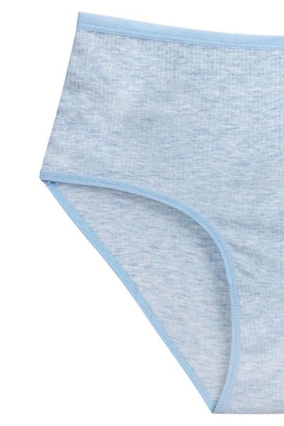 PRATİKOBA 4-Piece New Series Colorful High Waist Ribbed Bato Panties Blue