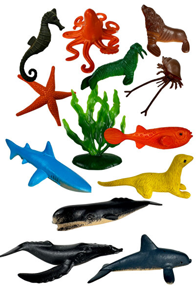 Toyaş Deniz Canlıları Figür Seti – Eğitici ve Eğlenceli Oyuncak 13 Parça (4–7...