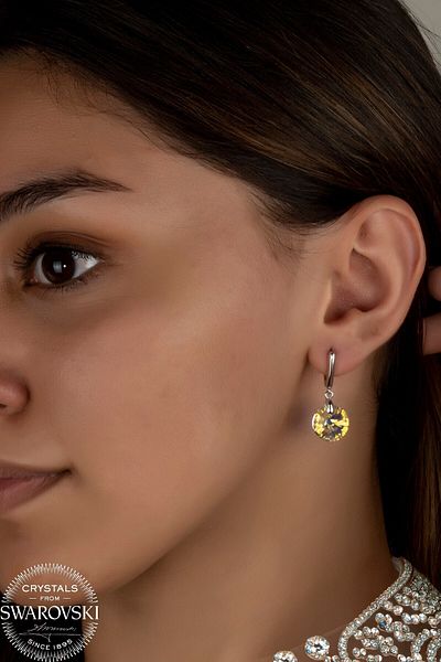 Swaroski Zirconia Crystal Stone Round Earrings