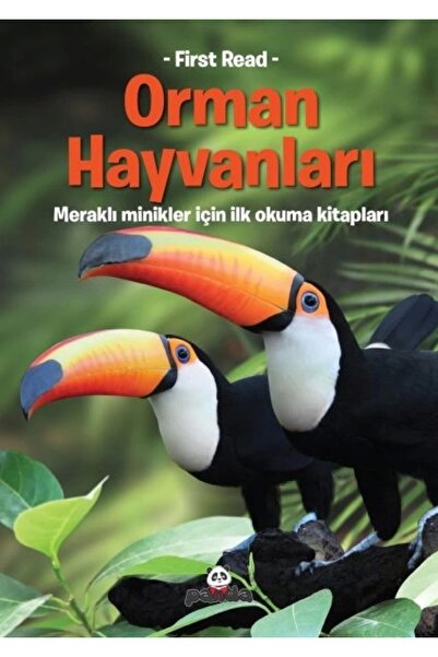 Beyaz Panda Yayınları حيوانات الغابات