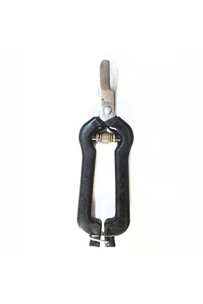 Wovna Ergün Citrus Scissors with Blunt Tip