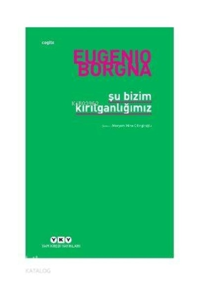 Yapı Kredi Yayınları Şu Bizim Kırılganlığımız