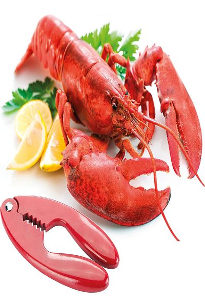 TESCOMA Shellfish Cracker – Durable & Easy to Use