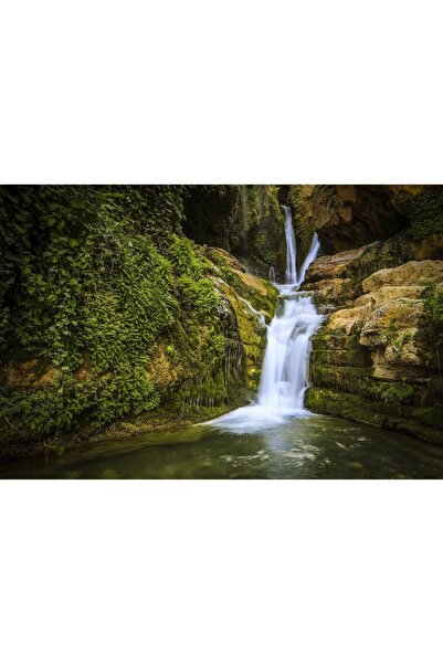 ve Tablou Canvas, Smarald, 90 x 60 cm, Rama lemn, Multicolor