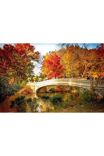 ve Tablou Canvas,Toamna, Pod de piatra, Frunze rosii, 90 x 60 cm, Rama lemn, ...