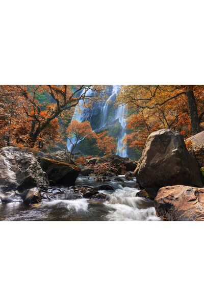 ve Tablou Canvas, Cascada in toamna, 90 x 60 cm, Rama lemn, Multicolor