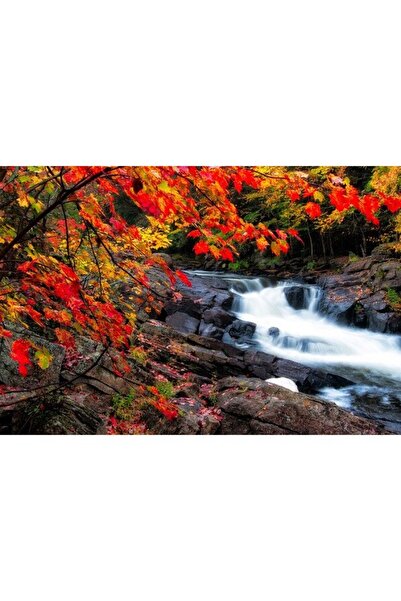 ve Tablou Canvas, Cascada, Apa curgatoare, Frunze rosii, 90 x 60 cm, Rama lem...