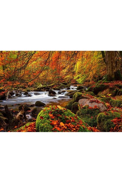 ve Tablou Canvas,Parau, Padure, Toamna, Frunze, 90 x 60 cm, Rama lemn, Multic...