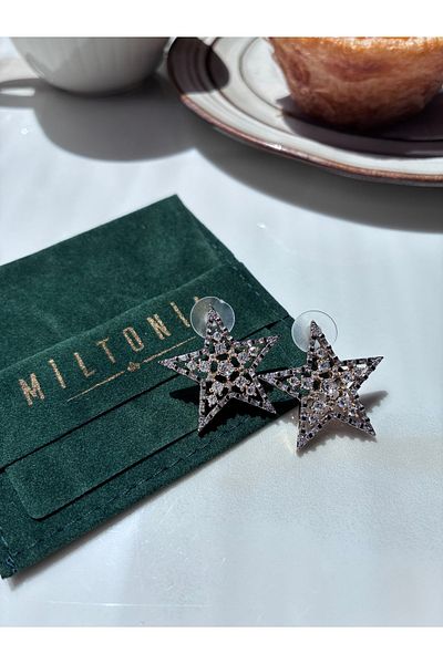 Miltonia Zircon Stone Star Tarnish Free Stylish Earrings