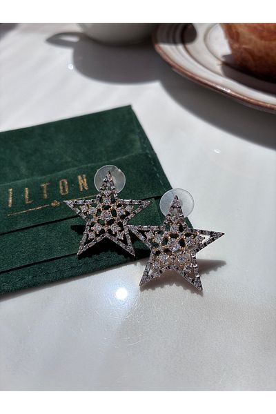 Miltonia Zircon Stone Star Tarnish Free Stylish Earrings