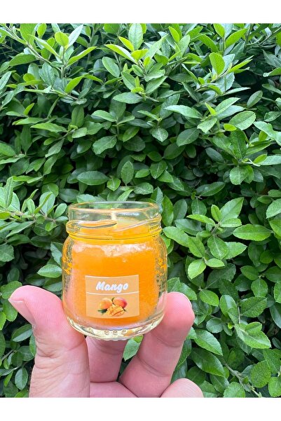 aralmini 5 adet Mini Kokulu Kavanoz Mumlar