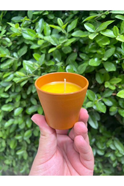 aralmini Saksı Model Citronella Mum Limon Kokulu Sinek Kovan Mum Anti Sinek A...