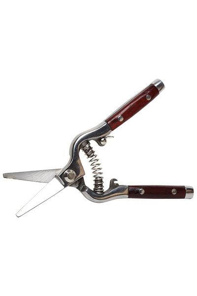 PROLINE Elongated Live Scissors With Spring And Wooden Handle / 25Mm