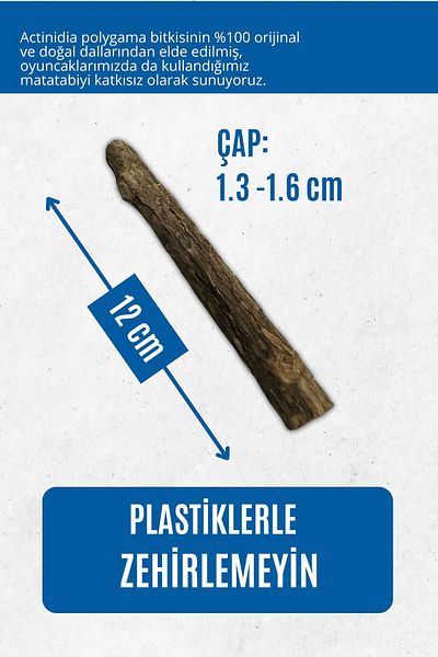 pawdaz Matatabi - Stick (THICK - 3-PACK) Natural Toy to Help Clean Teeth and Relieve Stress