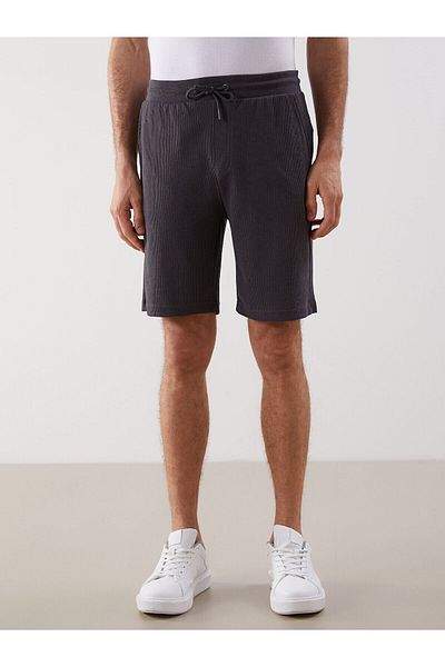 LC Waikiki Standard Fit Men's Shorts