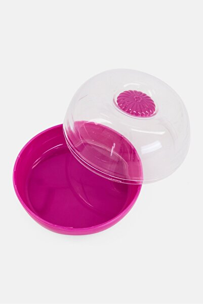 Urban Kitchen Onion Fresh Flip Pod, Purple