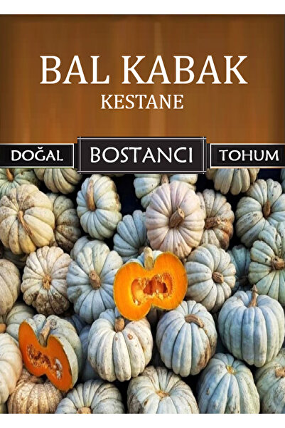 bostancı Yerli Kestane Bal Kabağı Tohumu Doğal Yerli Balkabağı Tohumu Pakette 100 Gr 240 Tohum