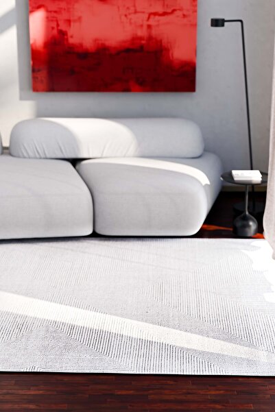 Serente Home Abstract Line Patterned Washable Non-Slip Base Chenille Gray Living Room Carpet 4169