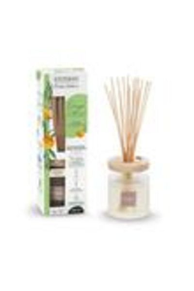 Esteban Paris Ellipse Orange&Green Tea Perfume Diffuser 200ml