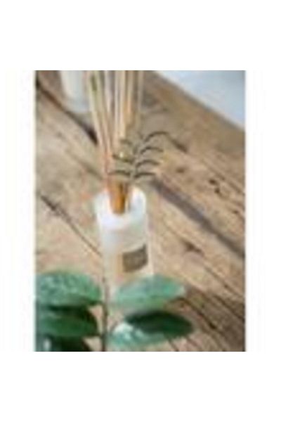Esteban Paris Rezerva parfum 500ml Figue Garrigue
