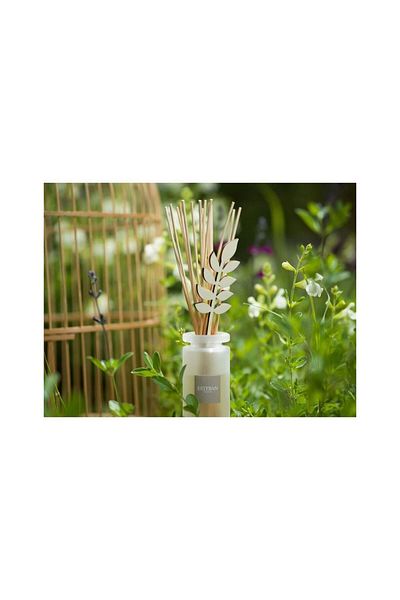 Esteban Paris Linen Freshness Perfume Diffuser 100ml - Esteban Paris