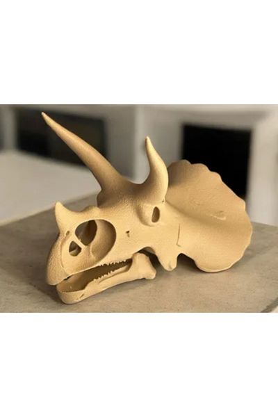 NOMOTHETIC Triceratops Skull – 3D Printing Dinosaur Fossil Model