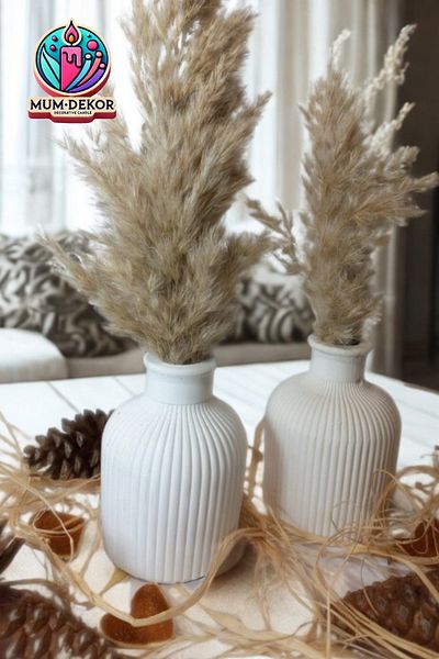 EMG DEKOR Set of 2 Pampas Vases with Decorative Tray