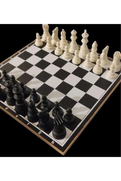 Nusrat Bilişim Double Chess Set (Wooden Board - Plastic Stone)