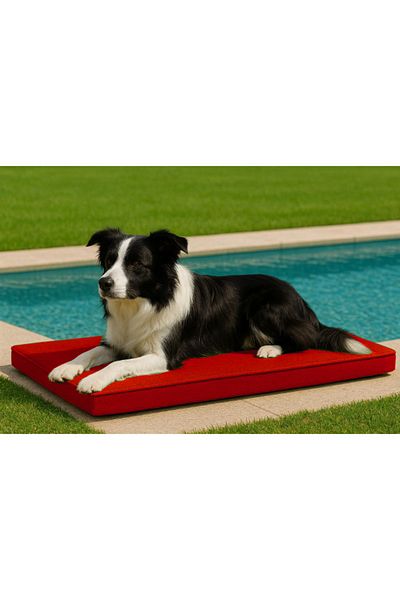 linapetshop Waterproof Outdoor Medium Dog Bed with Zipper 59X88