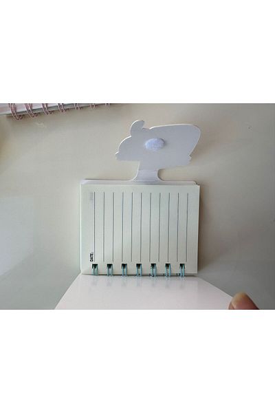 PARLAK EVREN 4 Capibala Circuit Notebook