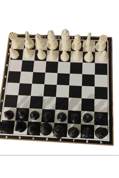 Nusrat Bilişim Double Chess Set (Wooden Board - Plastic Stone)