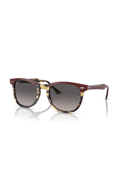 Ray-Ban RB 2398 1377M3 53 EAGLE EYE Polarize Güneş Gözlüğü