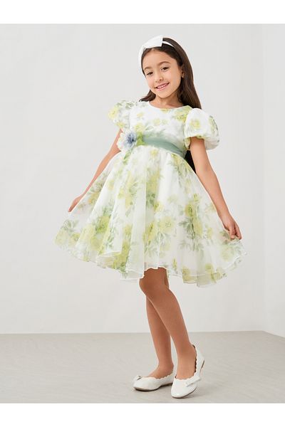 Styli Printed Organza Puff Sleeve Dress