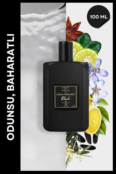 Aqua Di Polo 1987 Gran Paradiso Black Exclusive Series Men's Perfume 100 ml