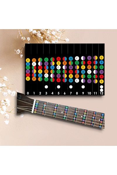 cantekin Guitar Sticker Latin Note Locations Guitar Keyboard Note Learning