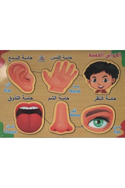 Educational أحجية الحواس الخمس الخشبية - 6 قطع