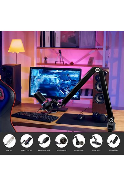 FlashHawk Mic Boom Arm 360° Rotatable Microphone Stand with Desk Mount, for Live Streaming, Gaming, Radio