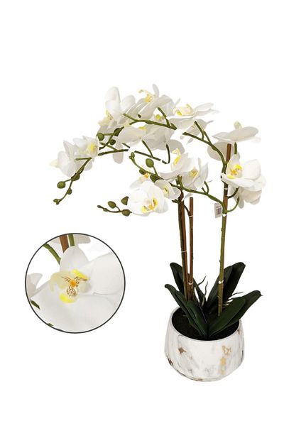 Living White artificial orchid flowers, white pot, height 69 cm