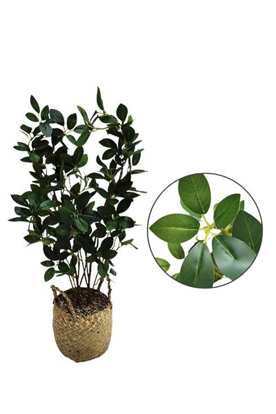Living Artificial ficus plant with a straw pot, height 95 cm.