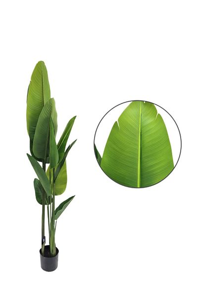 Living Artificial banana tree3 branches with a black pot, 185 cm