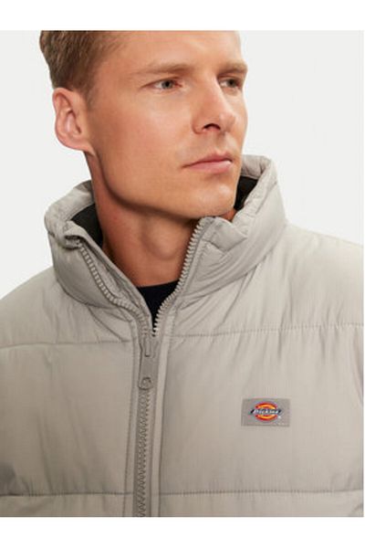 Dickies Men's Transition Jacket DK0A4XP2D06 Gray