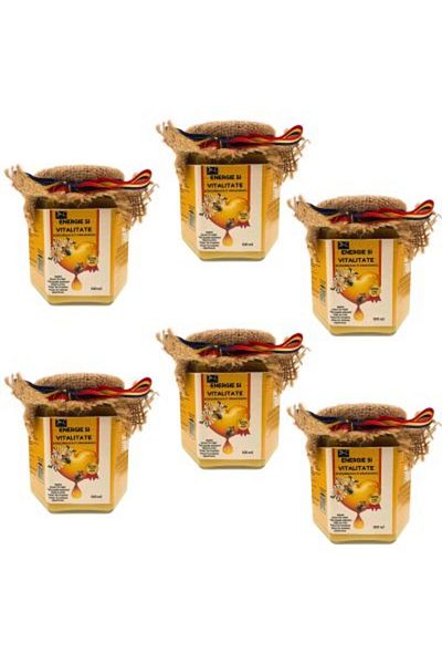 DACSHOP DAC shop honey with 16 natural ingredients, energizing, 6 x 500g