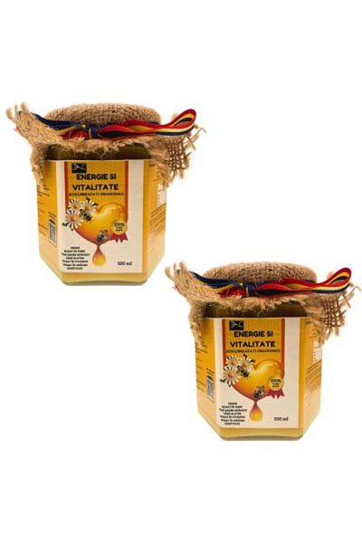 DACSHOP DAC shop honey with 16 natural ingredients, energizing, 2 x 500g