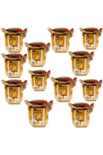 DACSHOP DAC shop honey with 16 natural ingredients, energizing, 12 x 500g