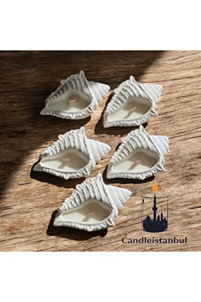 candleistanbul Dekoratif midye istiridye ahşap fitilli kokulu mumluk