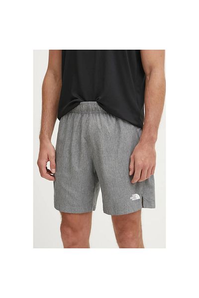 THE NORTH FACE 24/7 Men's Gray Shorts