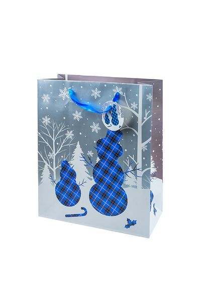 OEM Christmas gift bag, 26x32x12 cm