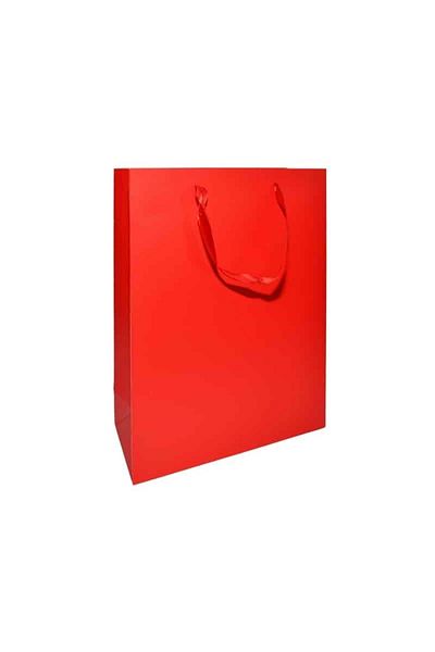 DanyCris Gift Bag, Plain, 18x21x8cm