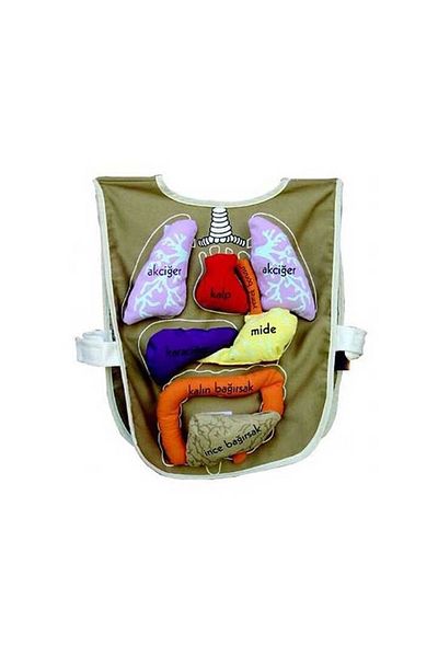 Angoravi And-5011 Organ Apron Organs with Velcro Tape